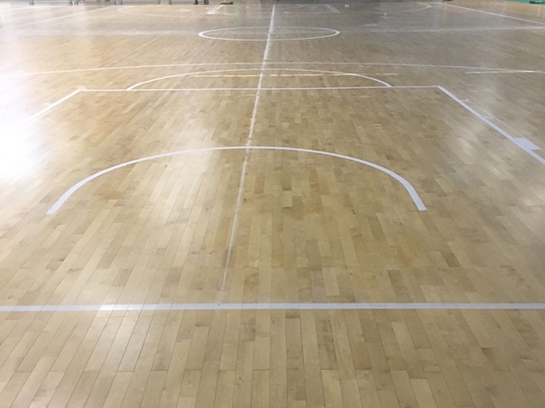 開發區室內木地板籃球場